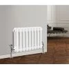 Traditional Radiator Cast Iron Style Radiator 2 Column White 300 X 425mm