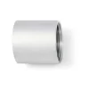 BSP 1-1/4 Inch Socket (Coupling) T316 (A4) Stainless Steel - Parallel Threads (BSPP / G Thread)