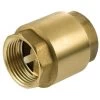 1 1/2 (6/4) Inch BSP Brass Check Non-Return Valve Female With Plastic Insert