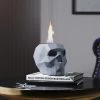 Livingandhome Stainless Steel Tabletop Skull Ethanol Fireplace