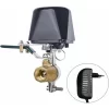 WiFi Remote Control Automation Control Valve For Gas Water Regulator Manpolator Valve 4 Points 4/6